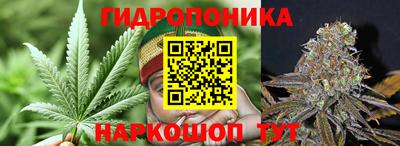 крисы Славянск-на-Кубани
