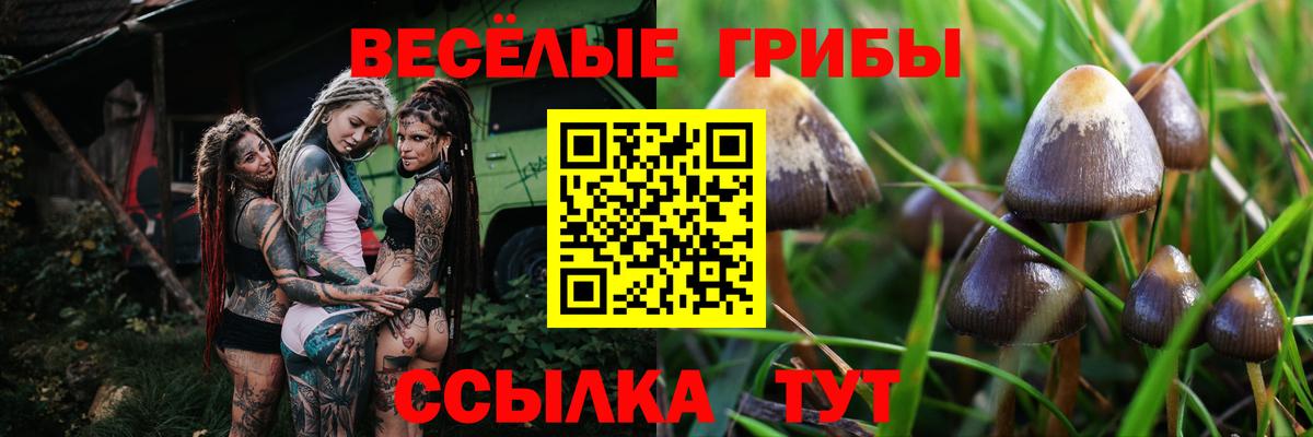 Прокопьевск  Псилоцибиновые грибы GOLDEN TEACHER  Вход с VPN 